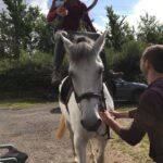 gallery mounting horse dolphin para rider hoist